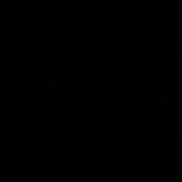 Meet your Posher, Mimi - Picture 1 of 1